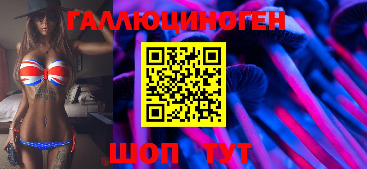 Псилоцибиновые грибы Psilocybine cubensis Ростов-на-Дону
